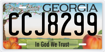 GA license plate CCJ8299