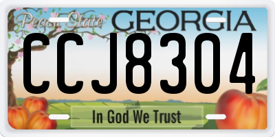 GA license plate CCJ8304