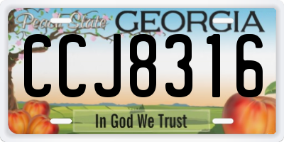 GA license plate CCJ8316