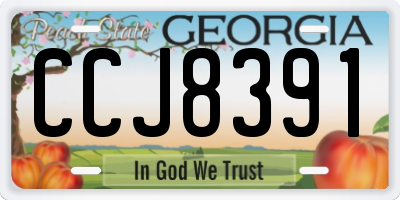 GA license plate CCJ8391