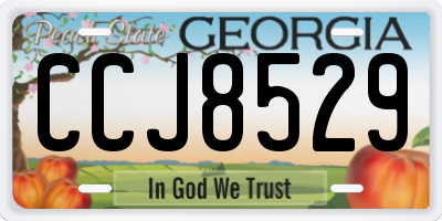 GA license plate CCJ8529