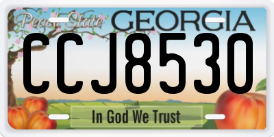 GA license plate CCJ8530