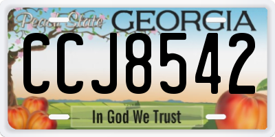 GA license plate CCJ8542