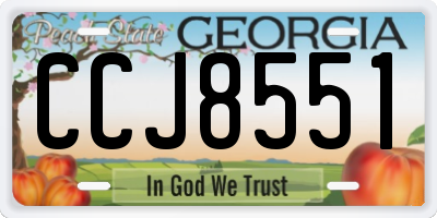 GA license plate CCJ8551