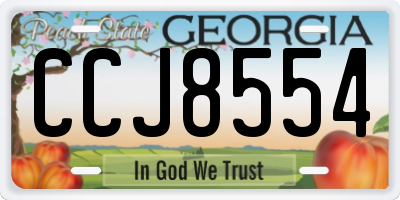 GA license plate CCJ8554