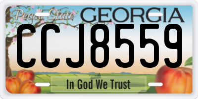 GA license plate CCJ8559