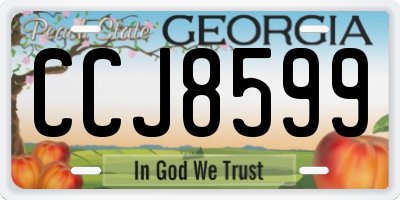 GA license plate CCJ8599