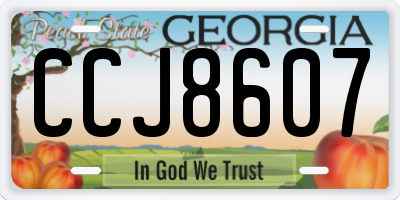 GA license plate CCJ8607