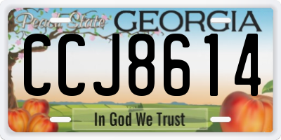 GA license plate CCJ8614