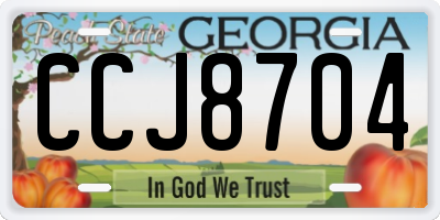 GA license plate CCJ8704