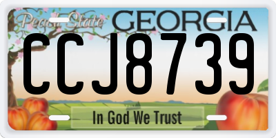 GA license plate CCJ8739