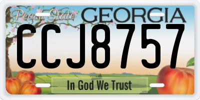 GA license plate CCJ8757