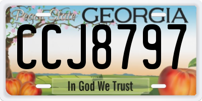 GA license plate CCJ8797