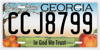 GA license plate CCJ8799