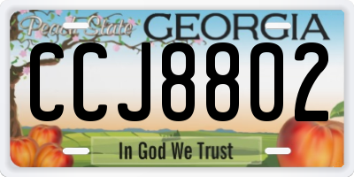 GA license plate CCJ8802