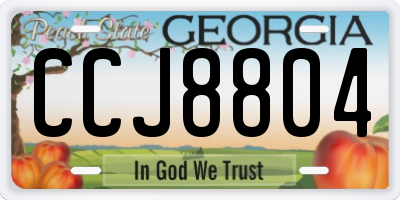 GA license plate CCJ8804