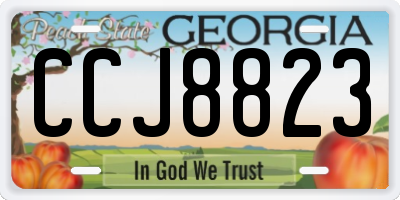 GA license plate CCJ8823