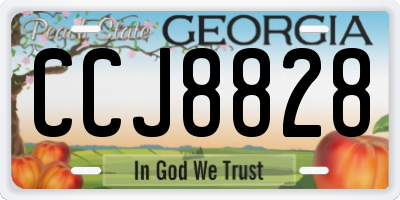 GA license plate CCJ8828
