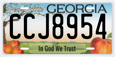 GA license plate CCJ8954