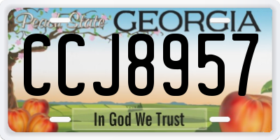GA license plate CCJ8957