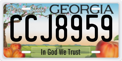 GA license plate CCJ8959