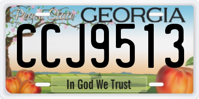 GA license plate CCJ9513
