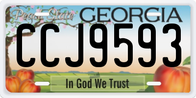 GA license plate CCJ9593
