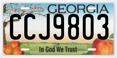 GA license plate CCJ9803