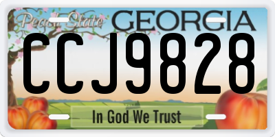 GA license plate CCJ9828