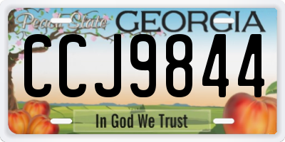 GA license plate CCJ9844