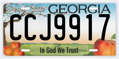 GA license plate CCJ9917