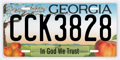 GA license plate CCK3828