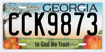 GA license plate CCK9873