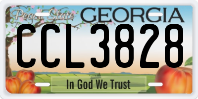 GA license plate CCL3828