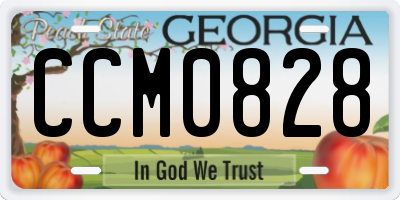 GA license plate CCM0828