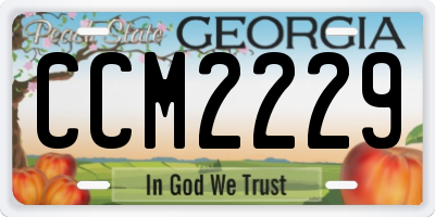 GA license plate CCM2229