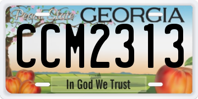 GA license plate CCM2313