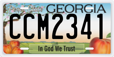 GA license plate CCM2341