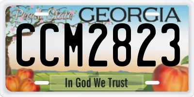 GA license plate CCM2823