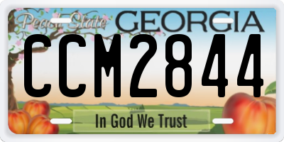 GA license plate CCM2844