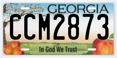 GA license plate CCM2873