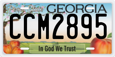 GA license plate CCM2895