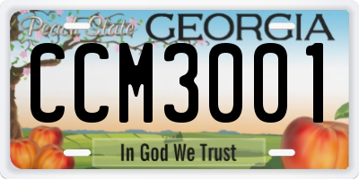 GA license plate CCM3001