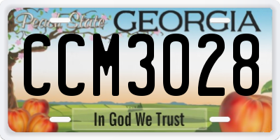 GA license plate CCM3028
