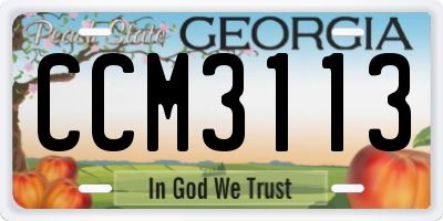 GA license plate CCM3113