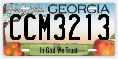 GA license plate CCM3213