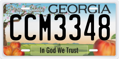 GA license plate CCM3348