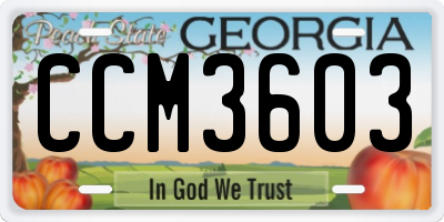 GA license plate CCM3603
