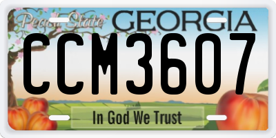 GA license plate CCM3607