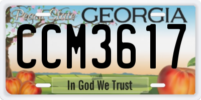 GA license plate CCM3617